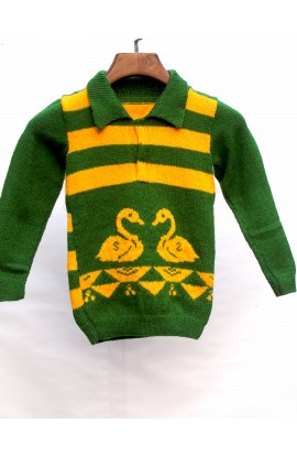 Graminarts Handmade Knitting Full Sleeve T-Shirt Style Pullover For Baby Boy- Fern & Gold										