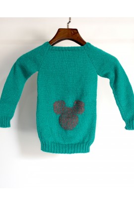 Round Neck Handmade Woolen Full Sleeve knitted Sweater For Baby Boy- Jungle