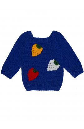 Beautiful Design Full Sleeve Applique Handmade Crochet Sweater For Baby Boy- Deep Blue							